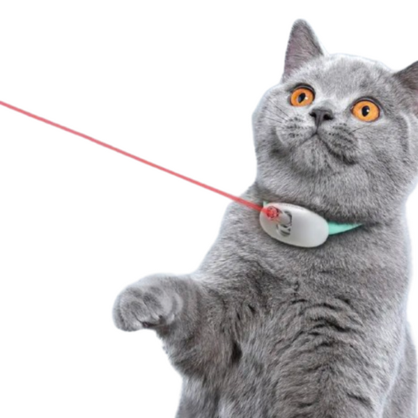 Kleines automatisches Katzen-Laser-Spielzeug