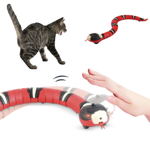 Katzenspielzeug mit Rattlesnake-Design